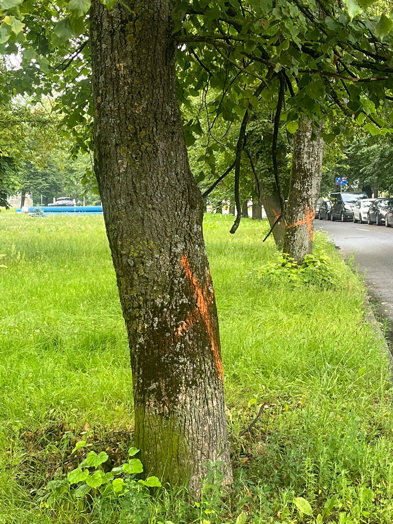 Partijas “Saskaņa” Rīgas nodaļa kategoriski iebilst pret krematorijas celtniecību Imantā!